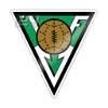 伏尔松古U19
